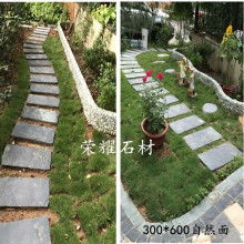 園林綠化工程施工 從規(guī)劃到養(yǎng)護(hù)的全程解析