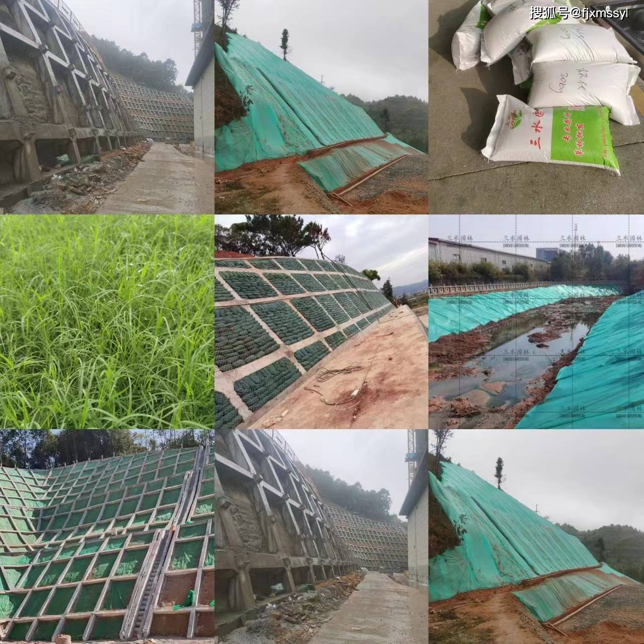 園林綠化景觀花海工程施工流程